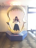 sharkteeth