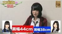 44cm38cm