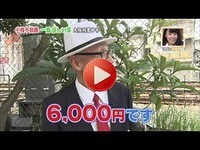 2014年8月3日