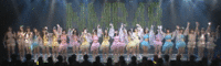 Team M Curtain Call カーテンコール