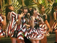 nmb003