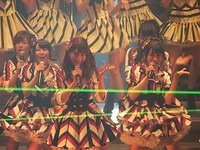 nmb113