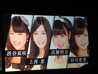 nmb 010