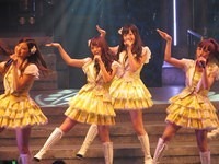 nmb 028
