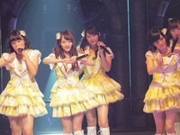 nmb 034