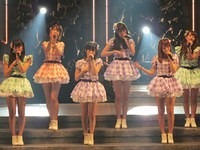 nmb 037