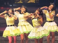 nmb 086