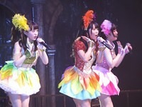 nmb 126