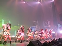 nmb 203