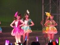 nmb 219