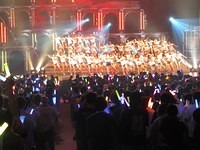 nmb 231