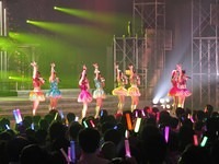 nmb 241