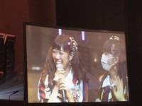 nmb 255